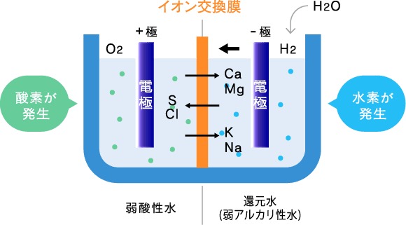 電気還元水整水器の仕組みを説明した画像